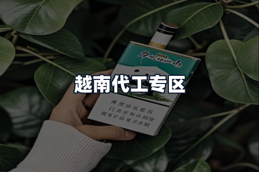 越南代工专区